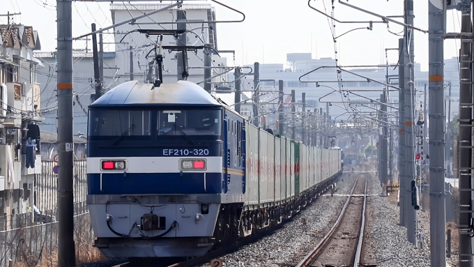 JR貨物 EF210形 EF210-320 鉄道フォト・写真 by こやじじいさん ：2023年05月16日16時ごろ