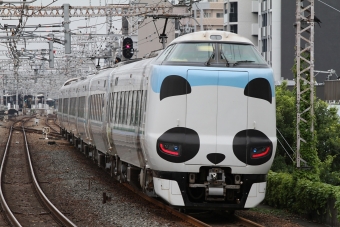 JR西日本287系電車 パンダくろしお 鉄道フォト・写真 by こやじじいさん 野田駅 (JR)：2024年06月27日15時ごろ