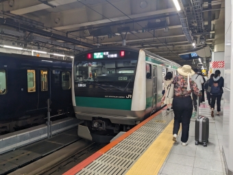 JR東日本 クハE233形 クハE233-7020 鉄道フォト・写真 by TPDさん 新宿駅 (JR)：2023年09月23日18時ごろ