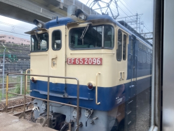 JR貨物 国鉄EF65形電気機関車 EF65-2096 鉄道フォト・写真 by ヨー感さん 田端駅：2022年08月27日09時ごろ