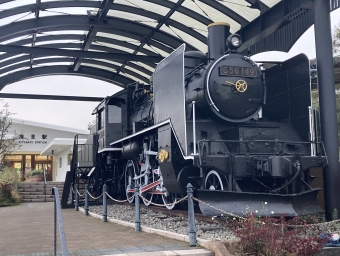 JR東日本 国鉄C56形蒸気機関車 C56 149 鉄道フォト・写真 by ヨー感さん 清里駅：2022年10月10日16時ごろ