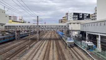 JR貨物 国鉄EF66形電気機関車 EF66 118 鉄道フォト・写真 by ヨー感さん 鶴見駅：2023年02月25日14時ごろ