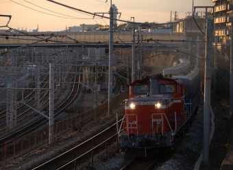 JR西日本 国鉄DD51形ディーゼル機関車 DD51-1109 鉄道フォト・写真 by GORO583さん ：2024年02月09日17時ごろ