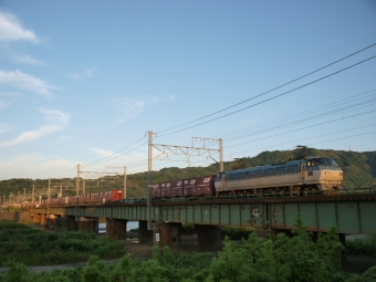 JR貨物 国鉄EF66形電気機関車 EF66-126 鉄道フォト・写真 by GORO583さん 興津駅：2014年06月14日05時ごろ