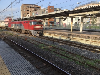 EH500-53 鉄道フォト・写真