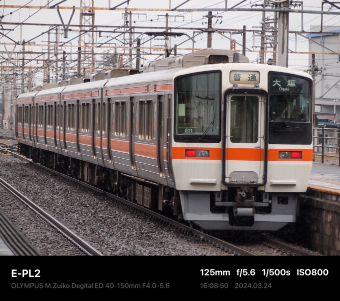 JR東海 311系 鉄道フォト・写真 by トワイライト2さん 大垣駅 (JR)：2024年03月24日16時ごろ