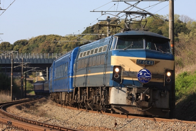 JR西日本 国鉄EF66形電気機関車 富士・はやぶさ 鉄道フォト・写真 by イプチャーさん ：2008年04月20日08時ごろ