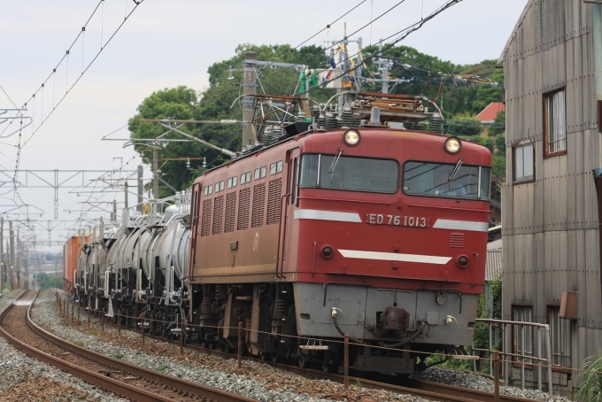 JR貨物 国鉄ED76形電気機関車 ED76-1013 鉄道フォト・写真 by イプチャーさん ：2008年07月12日14時ごろ
