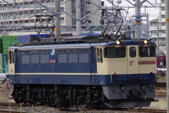 JR貨物 国鉄EF65形電気機関車 EF65-2083 鉄道フォト・写真 by 大阪のうららさん 岸辺駅：2024年02月04日09時ごろ