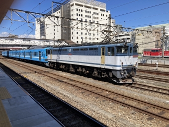 JR貨物 国鉄EF65形電気機関車 鉄道フォト・写真 by E-12さん 八王子駅：2023年09月10日10時ごろ