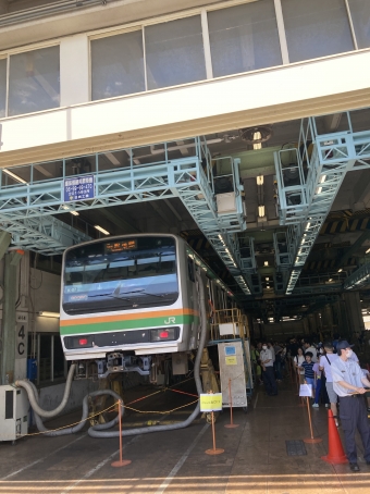 JR東日本 E231系 鉄道フォト・写真 by 稲長さん 大崎駅 (JR)：2023年08月26日11時ごろ