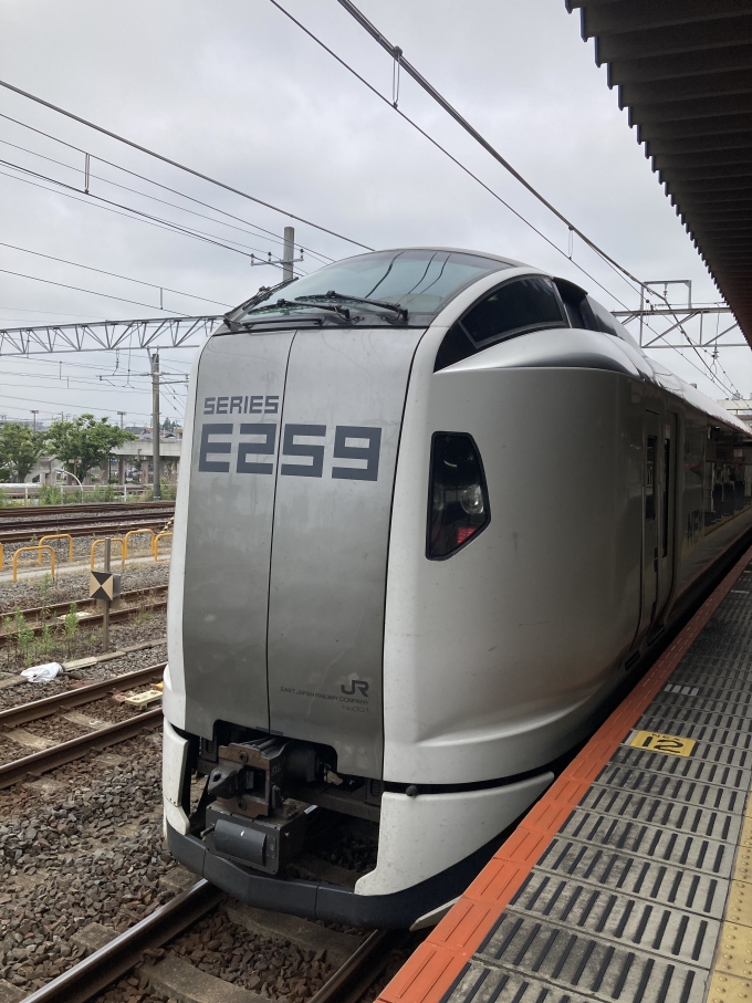 JR東日本E259系 クハE258形(Tc') 鉄道フォト・写真 by E-12さん 成田駅：2023年06月10日10時ごろ